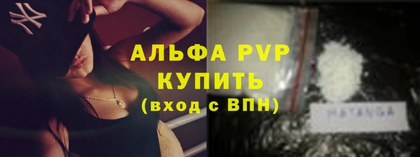 стаф Богданович