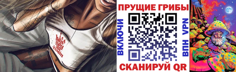 Галлюциногенные грибы Psilocybine cubensis  закладка  Кинешма 
